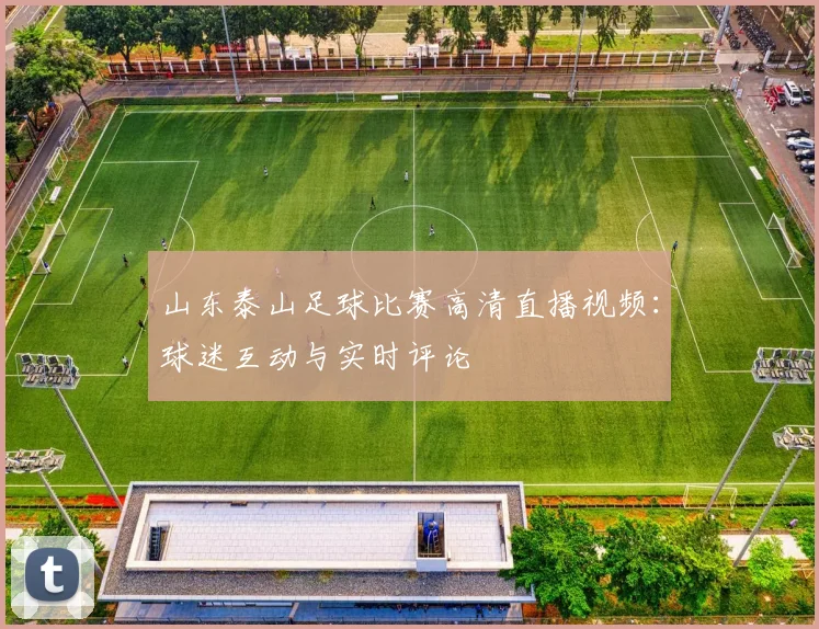 山东泰山足球比赛高清直播视频：球迷互动与实时评论