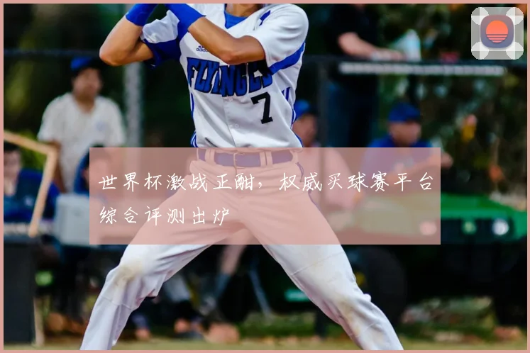 世界杯激战正酣，权威买球赛平台综合评测出炉