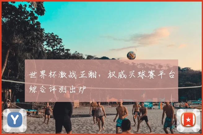世界杯激战正酣，权威买球赛平台综合评测出炉