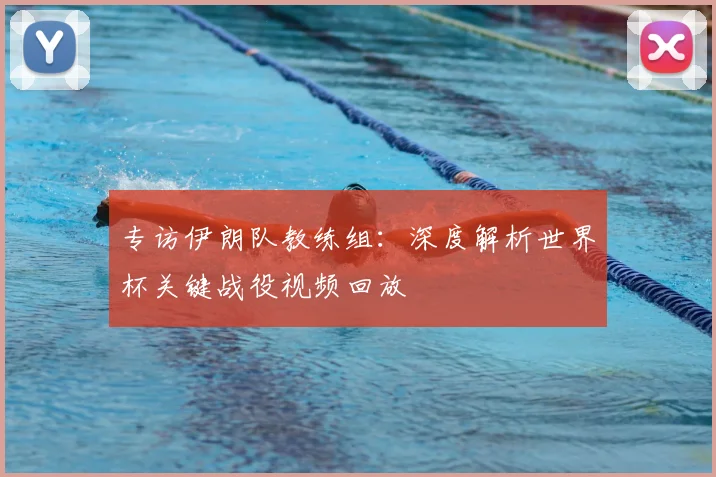 专访伊朗队教练组：深度解析世界杯关键战役视频回放
