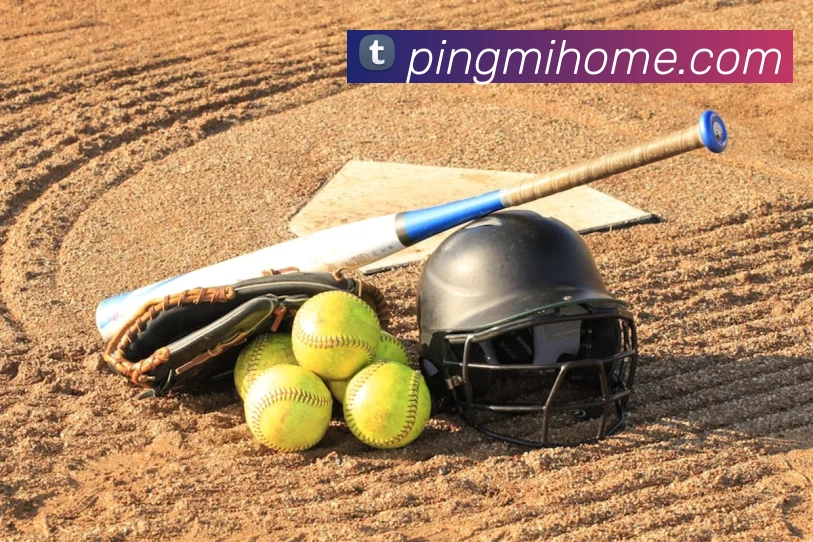 九州体育娱乐官网品牌故事