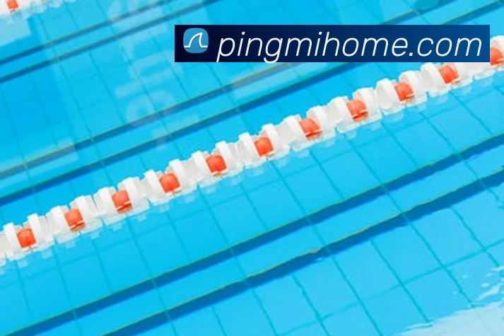 九州体育娱乐官网服务体系